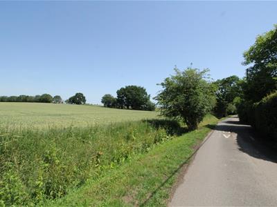 Picture 45